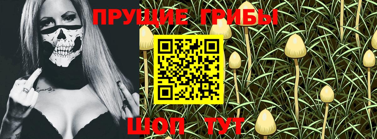 Анапа  Галлюциногенные грибы Magic Shrooms  Вход с VPN 